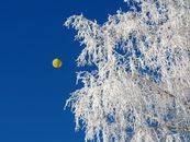 A Yellow Hot Air Balloon Flying in Mid Air Under a Clear Blue Sky
