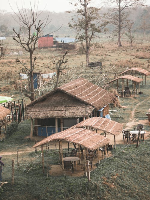 Foto profissional grátis de aldeia, cabanas nipa, campo de grama