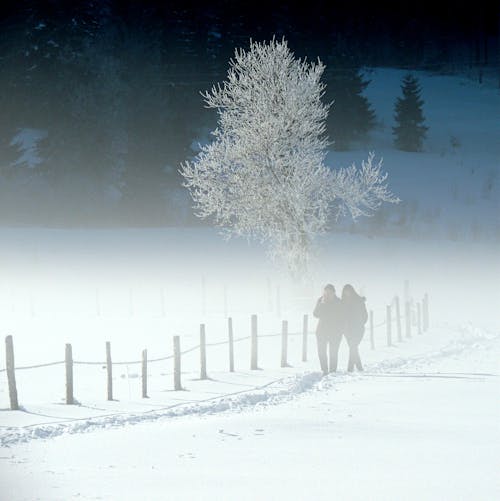 Free Person Walking on a Snow-Covered Field Stock Photo