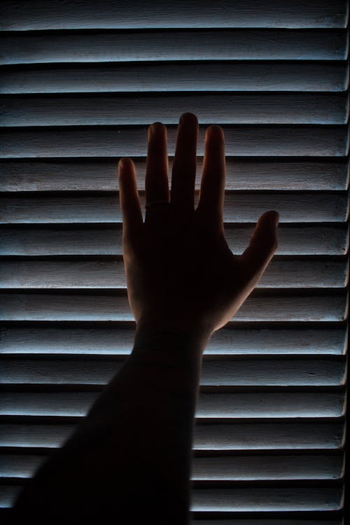 Close-Up Shot of a Person Holding Window Blinds