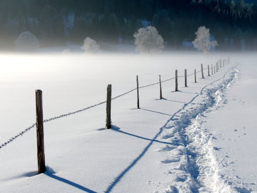 Free Wired Fence on a Snow-Covered Field Stock Photo