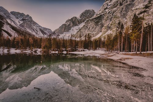 Landscape Photo of Body of Water Near Tall Trees