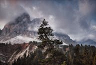 云雾缭绕的山峰，四周树木环绕，云层壮阔