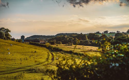 Idyllic Countryside Landscape