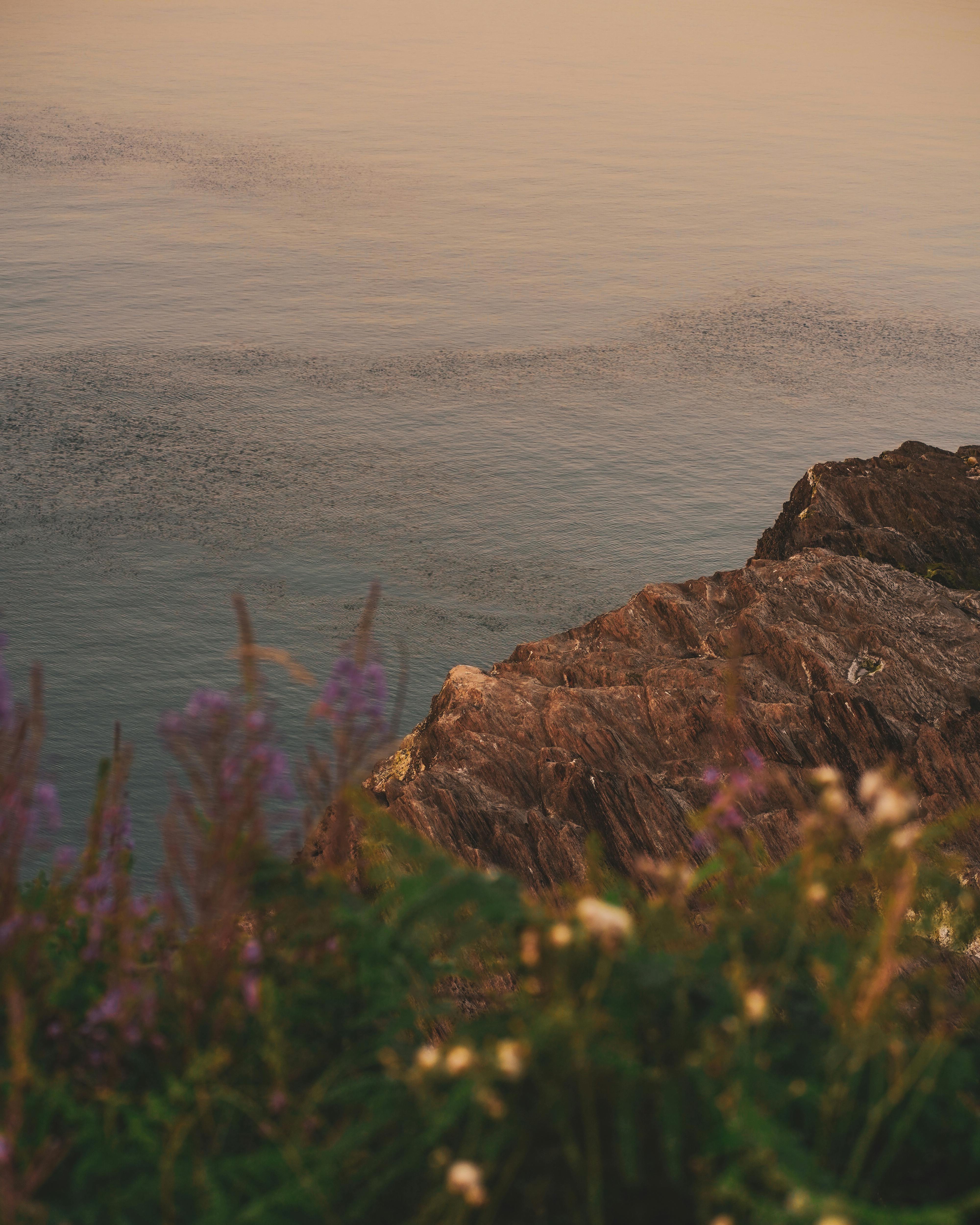 Bộ hình nền yên bình nơi thiên nhiên tươi đẹp cho desktop - GVN360