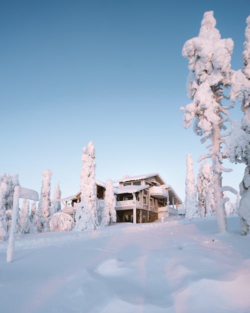 A Wooden House on a Snow-Covered Field