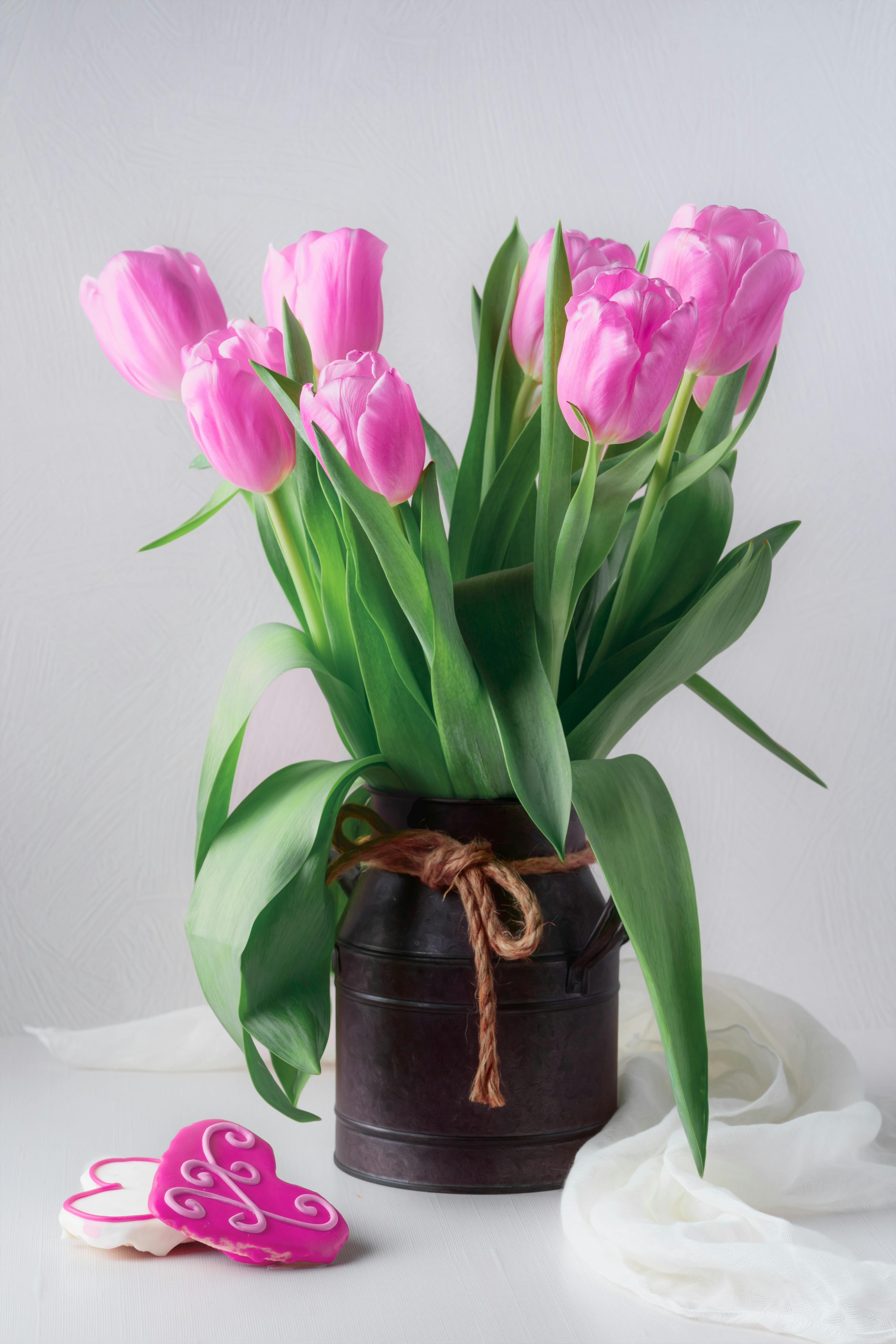 Front View Orange Juice Vase Pink Tulips Table Modern Kitchen Stock Photo  by ©EdZbarzhyvetsky 190380286