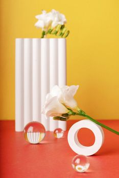 Elegant minimalist floral arrangement with white flowers and modern decor against a vibrant background.