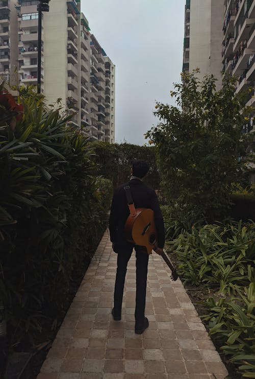 Free stock photo of city, green, guitar