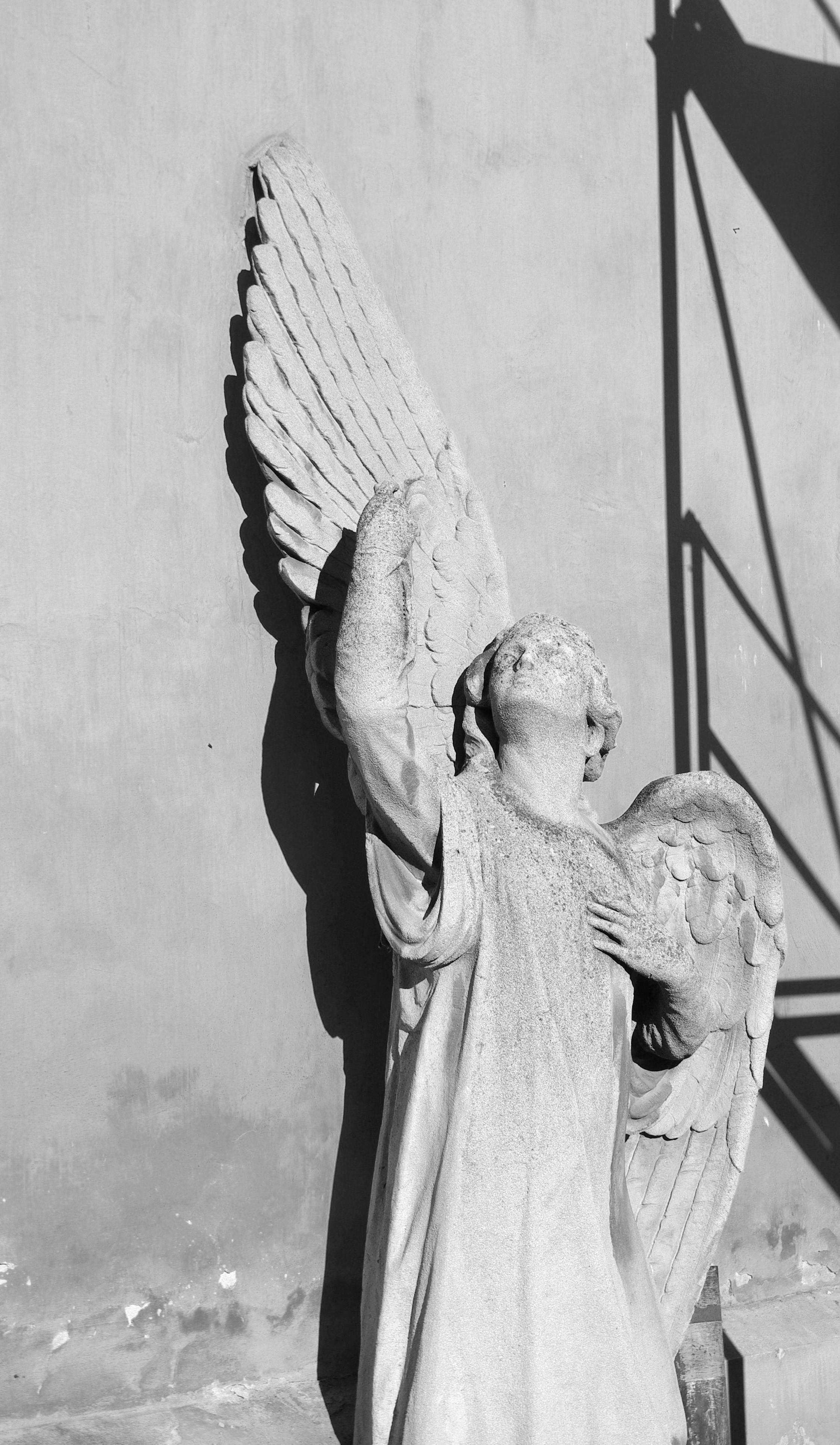 Free stock photo of angel, black and white, monumental sculpture
