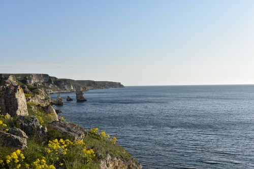 Free Beautiful coastal cliff with wildflowers and calm sea under a clear blue sky. Stock Photo