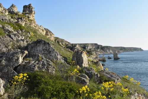 Free Breathtaking coastal cliff view with yellow wildflowers overlooking blue sea on a sunny day. Stock Photo