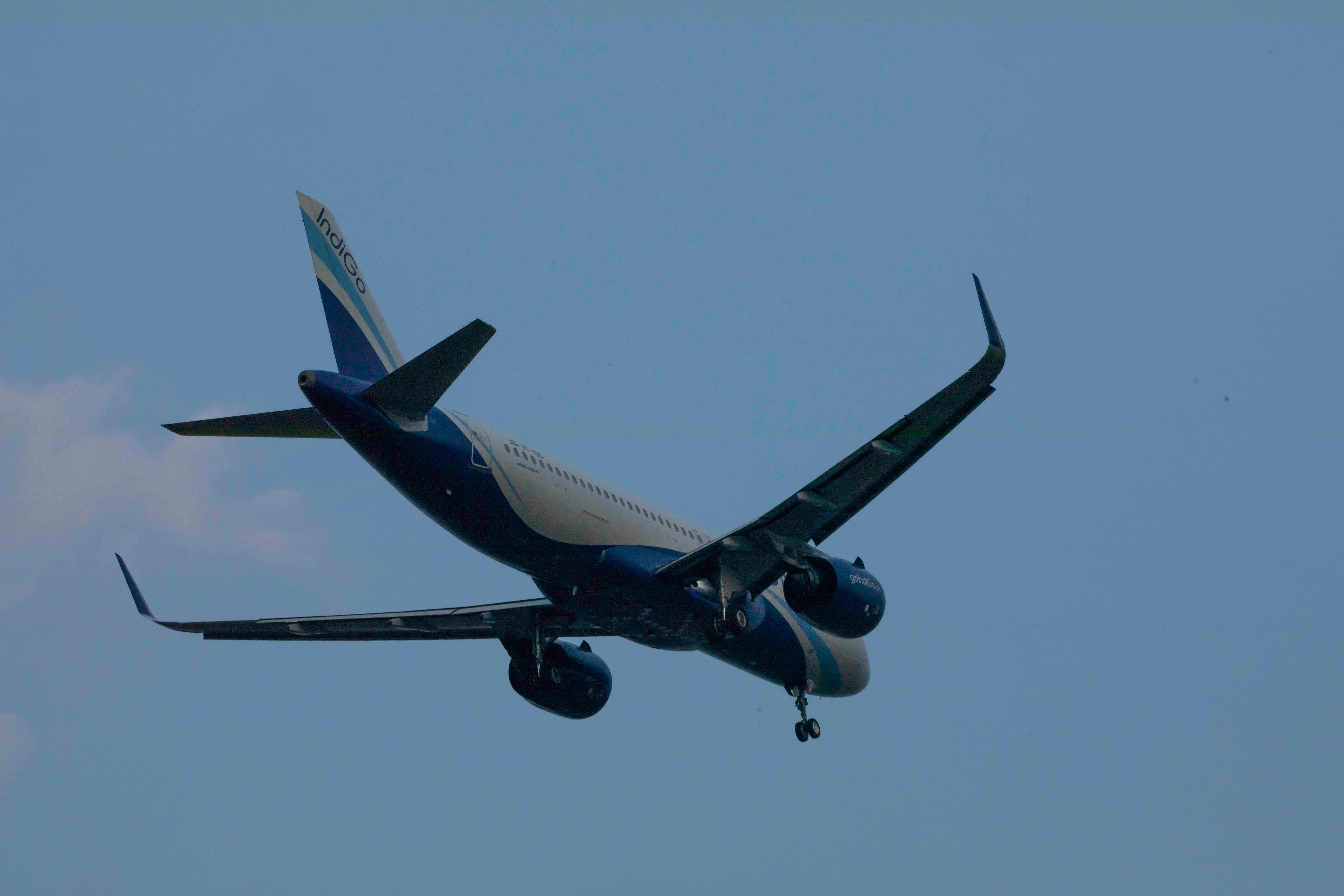 맛있게 구워지는 오사카 타코야키