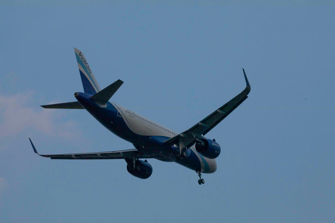 맛있게 구워지는 오사카 타코야키