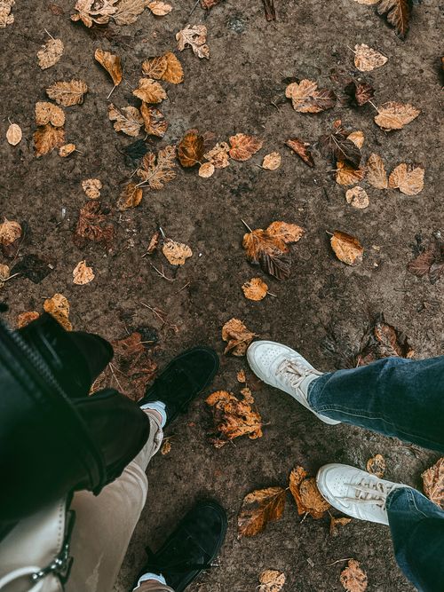 Free High angle view of stylish footwear surrounded by fallen autumn leaves in Erbil, Iraq. Stock Photo