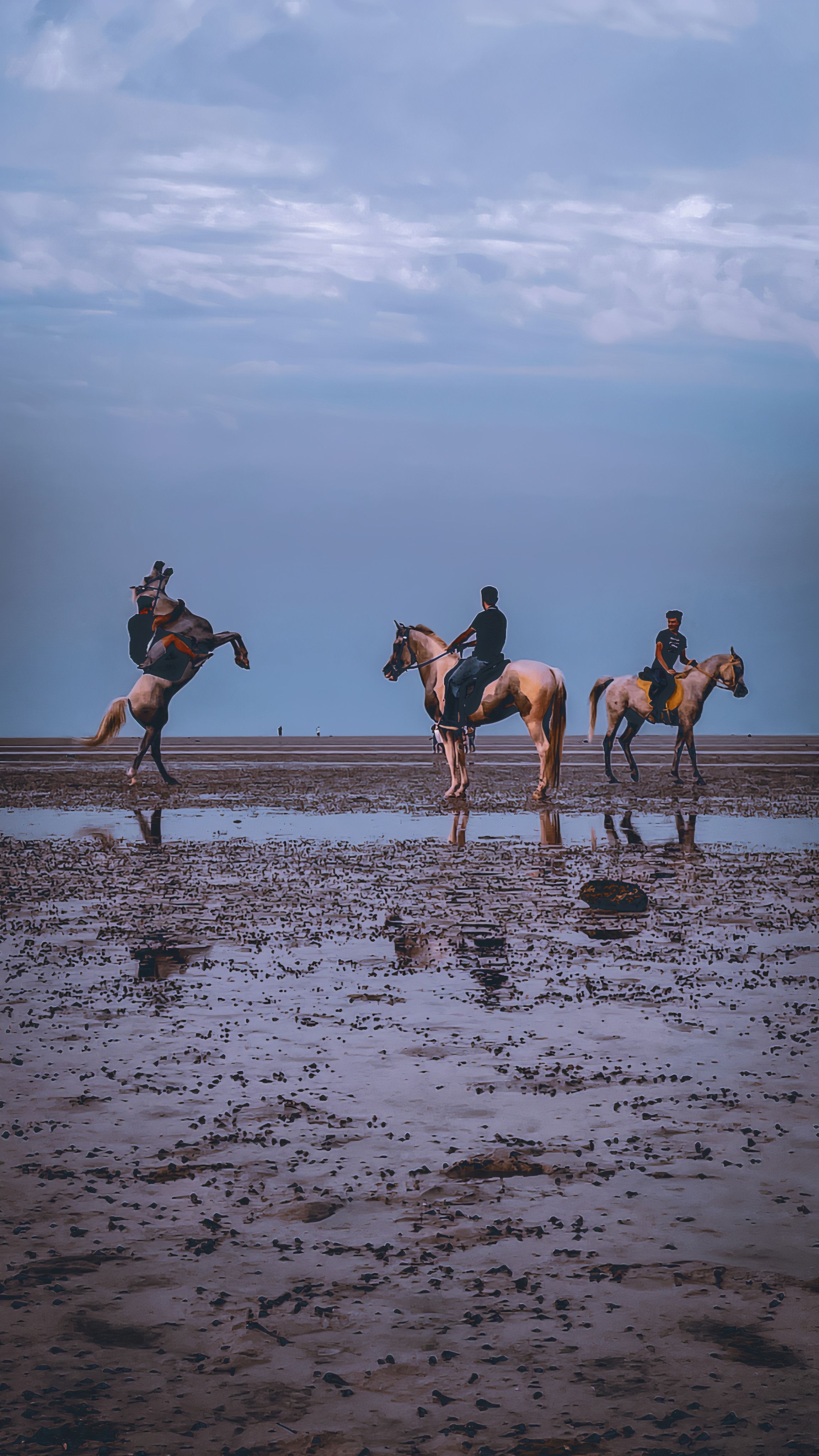 Horse Riding in Saudi Arabia | SaudiActivities
