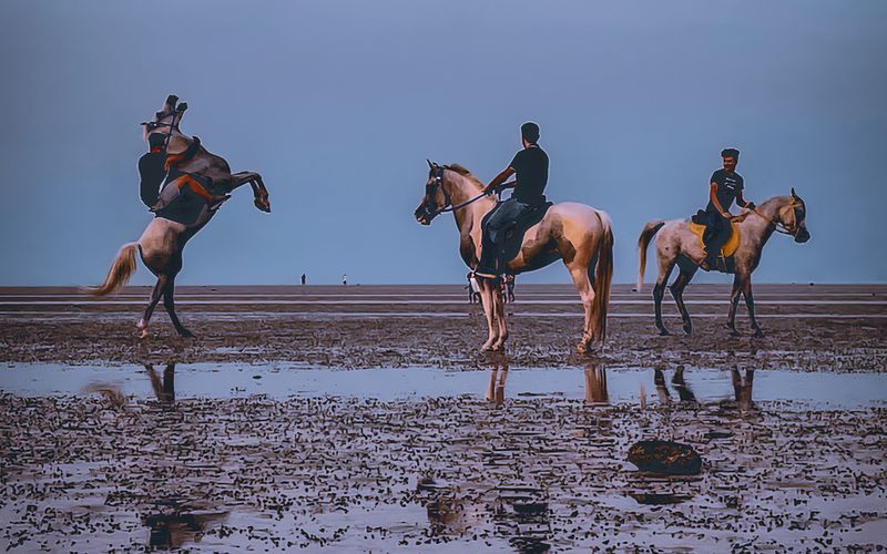 Horse Riding in Saudi Arabia | SaudiActivities