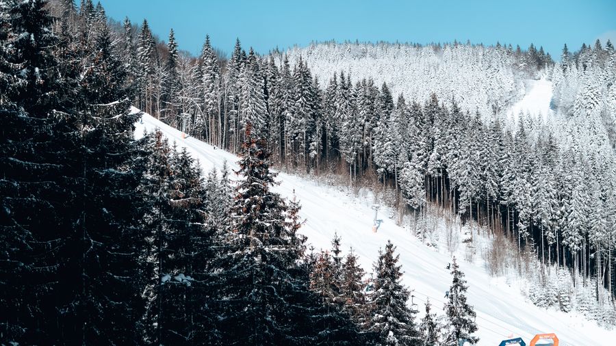 Alyeska Ski Vacation: Alaska Powder, Glaciers and Night Skiing