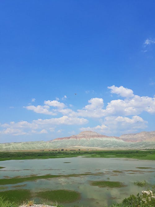 Green and Brown Mountain under Blue Sky