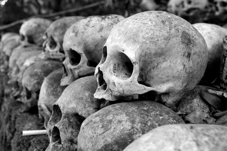 Grey Skulls Piled On Ground