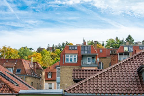 Buildings with Tile Roofing in a Town