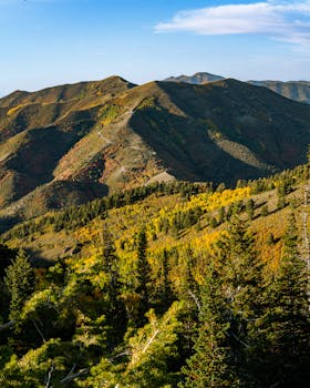 Vibrant autumnal landscape showcasing colorful foliage in Utah's Oquirrh Mountains.