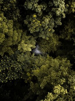 Captivating aerial shot showcasing the lush greenery of Ilmenau's forest.