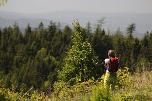 Woman Standing in Front of Green Leaf Trees