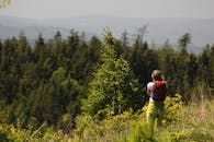 通过这张风景优美的徒步照片，探索波兰索科诺夫斯科宁静的森林