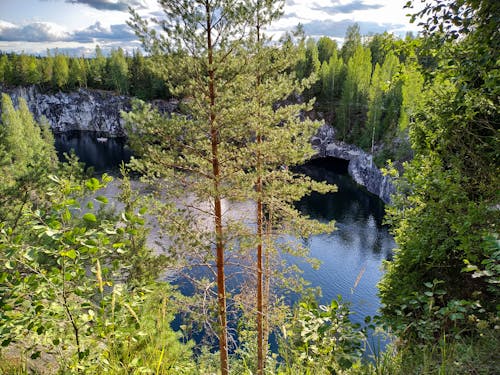 Бесплатное стоковое фото с водоем, деревья, облачное небо