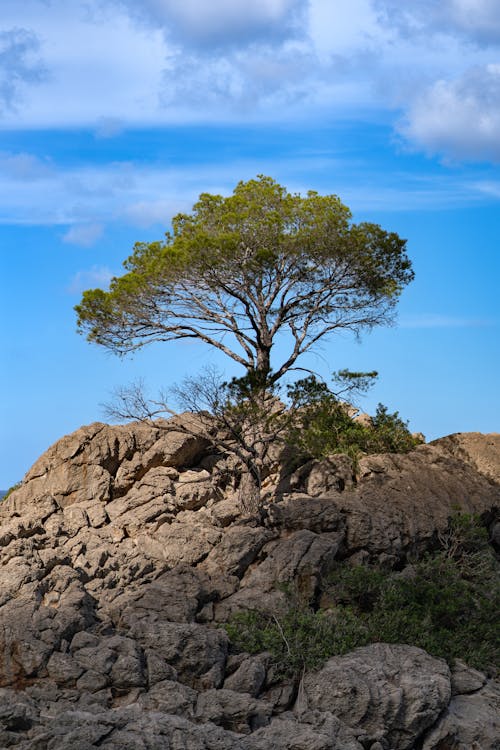 Kostnadsfri bild av berg, klippig, landskap