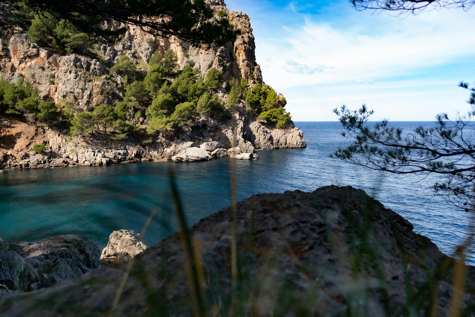 Beautiful rocky cove with turquoise sea and lush pine trees under a clear blue sky, creating a serene natural landscape.