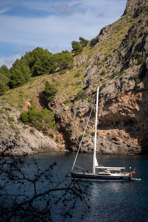 Photos gratuites de arbres, embarcation, mer bleue