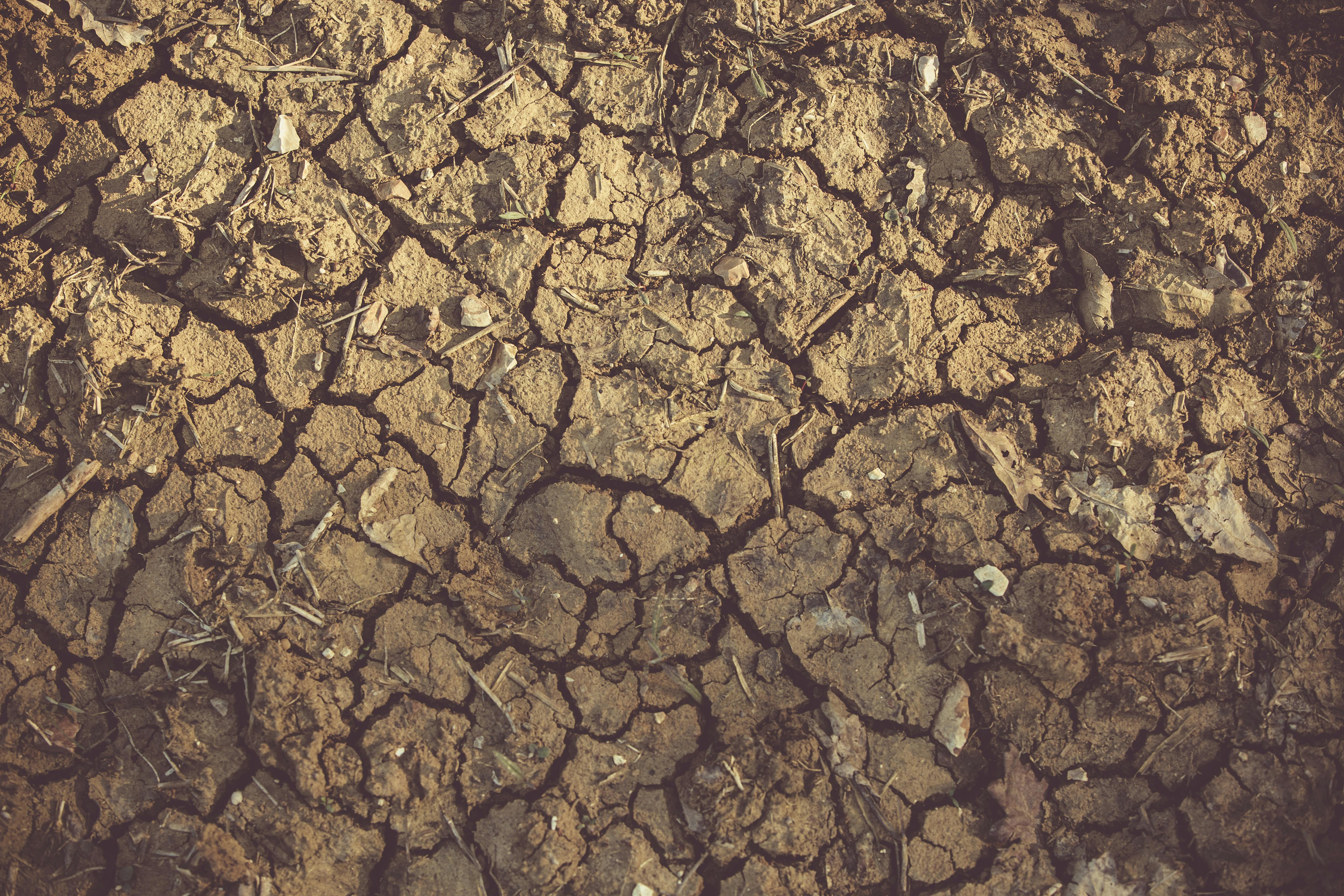 HD wallpaper: drought, cracks, dry, landscape, mud, dehydrated, lack of  water | Wallpaper Flare