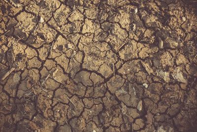 Close-up of cracked, arid soil — photo by James Frid on Pexels