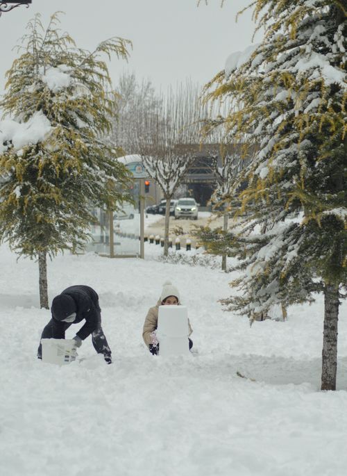 Free Two children building snow structures on a snowy street in Turkey, surrounded by snow-covered trees. Stock Photo