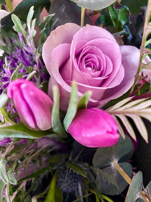 Purple Rose in a Bouquet