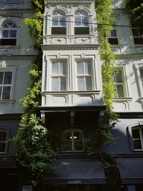 건물 외관, 녹색 식물, 수직 쐈어의 무료 스톡 사진