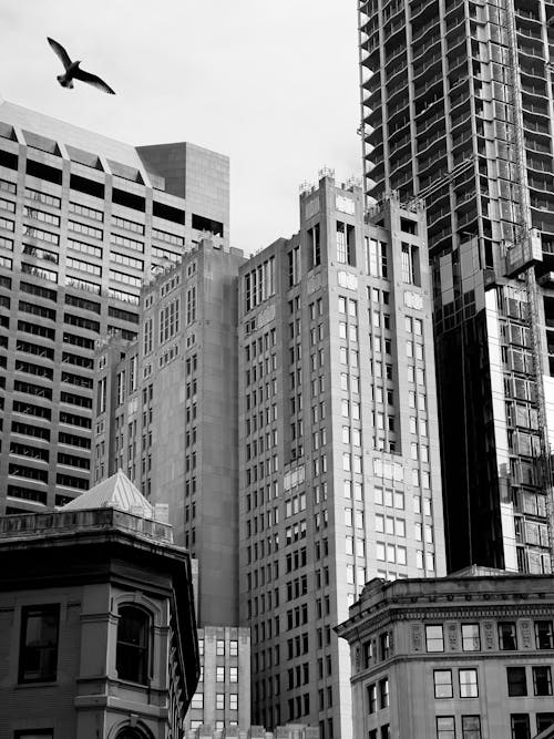 Black and White Photo of City Office Buildings 