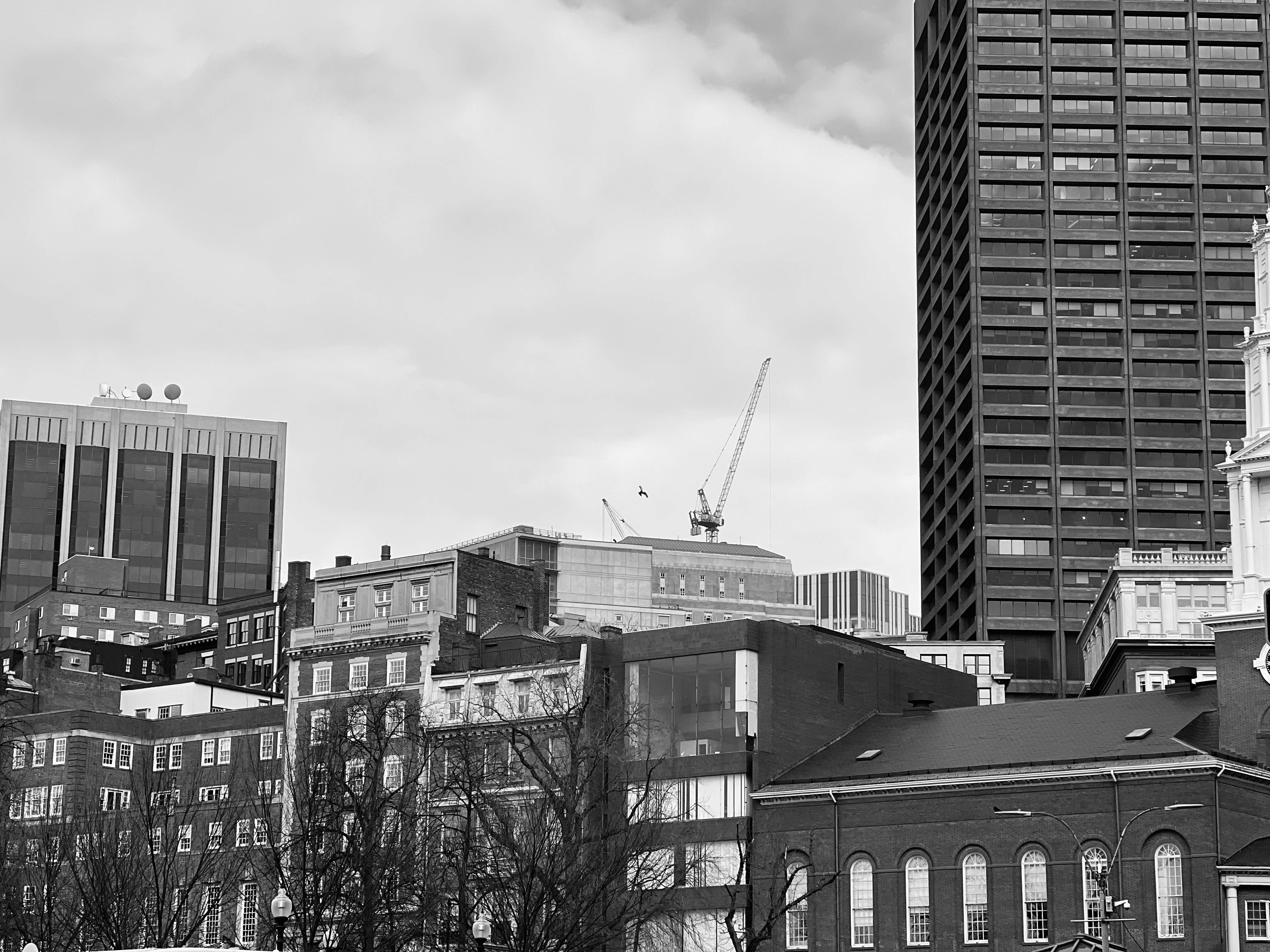Boston Has a Plan for Sea Level Rise. What Next? — Photo by Conor Hampton on Pexels