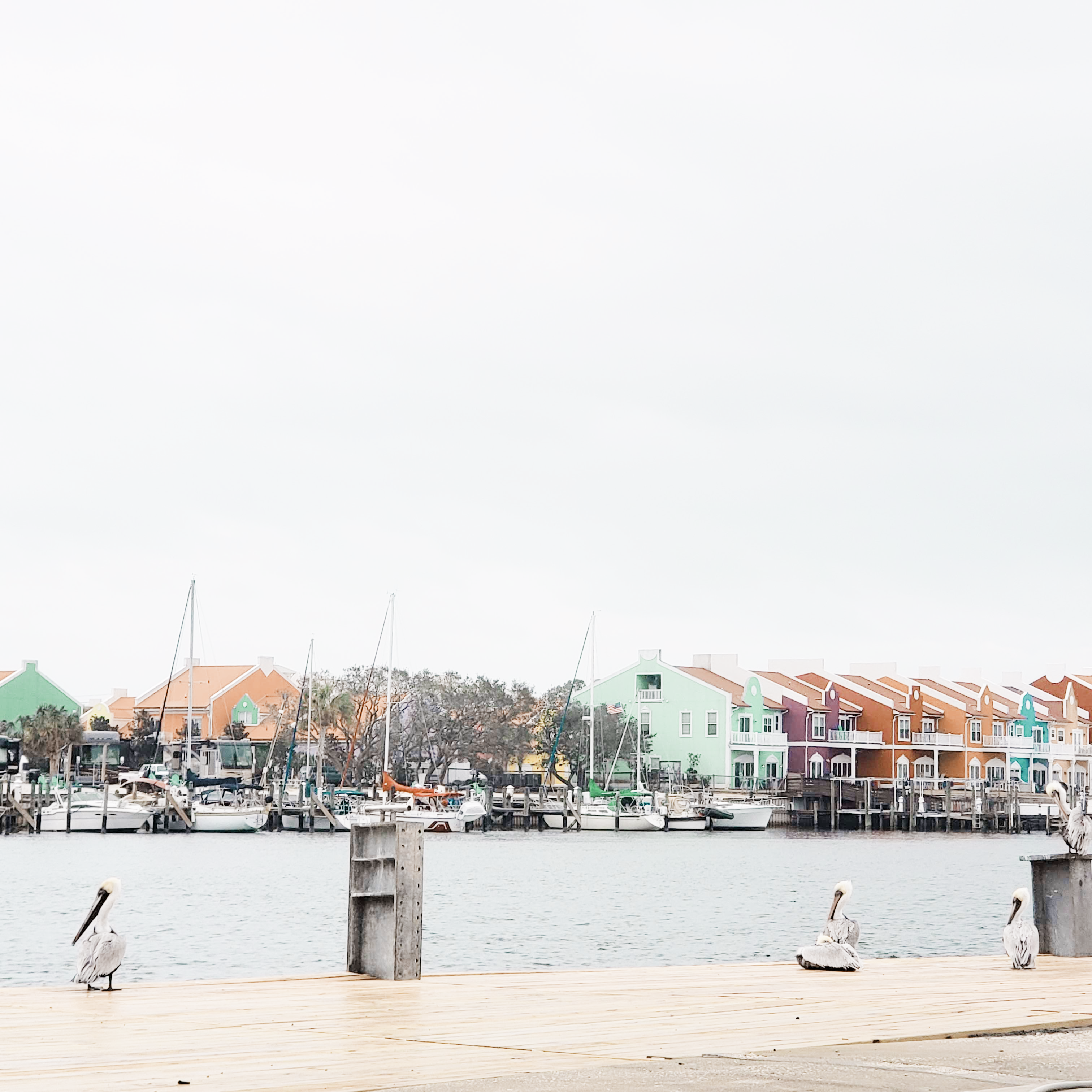 things to do in bocas del toro