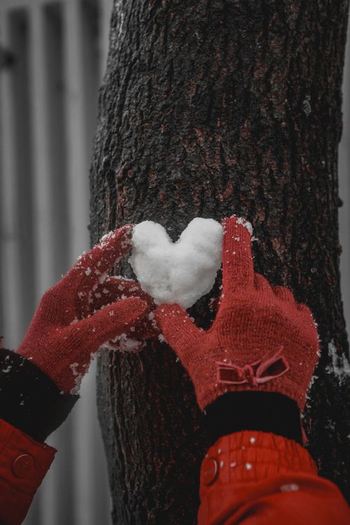 Free Hands in red gloves forming a heart shape with snow against a tree trunk in winter. Stock Photo