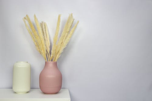 White and Brown Rice on Red Ceramic Vase