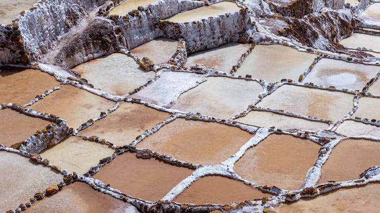 Rice Paddy Fields