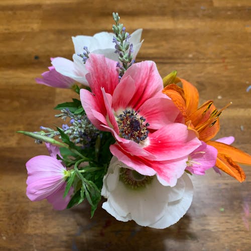 Foto profissional grátis de arranjo de flores, atraente, buquê