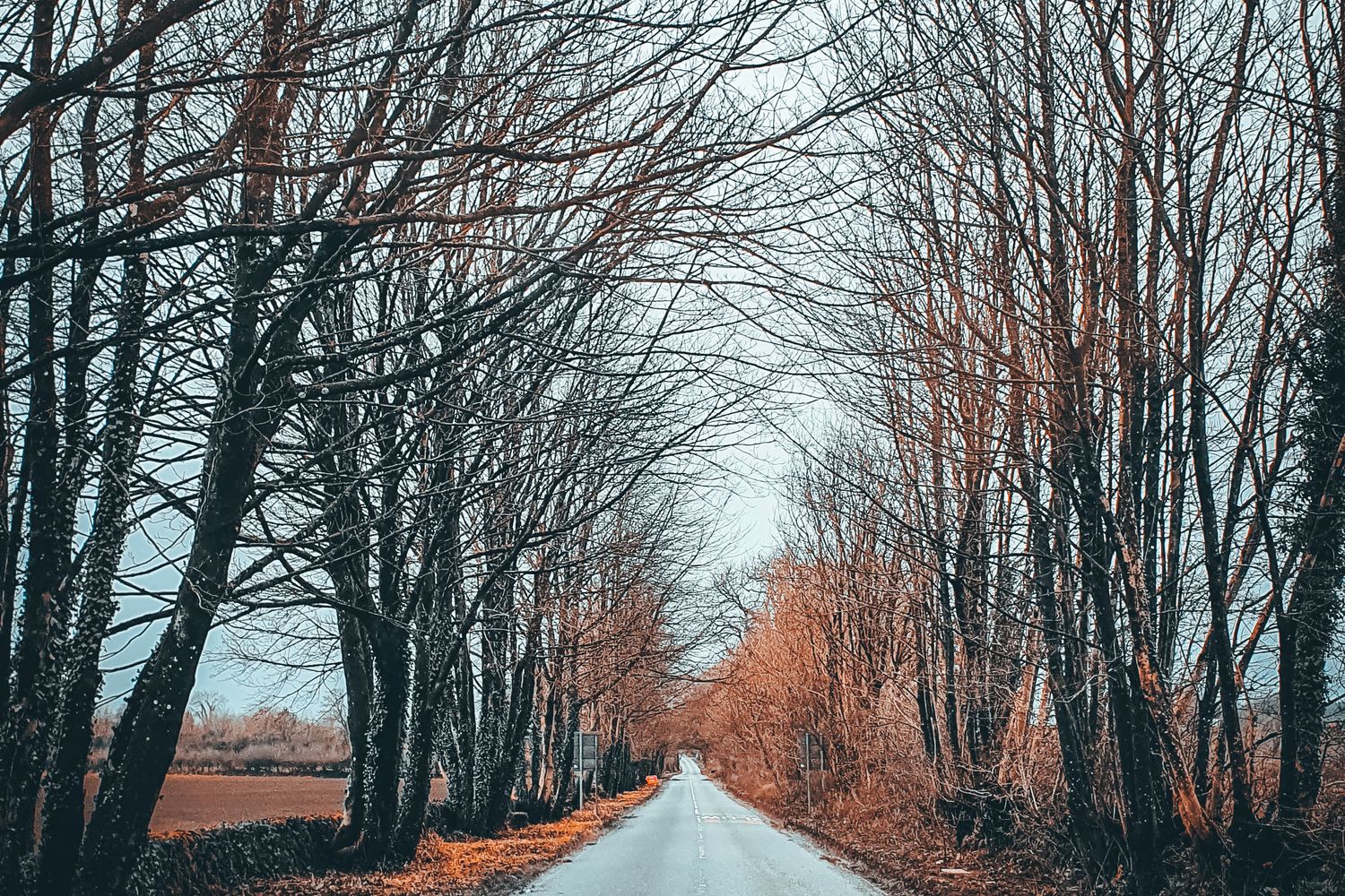 1 000 000 Best Nature Wallpaper Photos 100 Free Download Pexels 1-000-000-best-nature-wallpaper-photos-100-free-download-pexels
