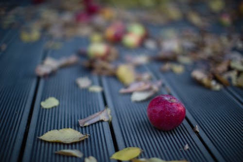 Kostenloses Stock Foto zu apfel, frucht, getrocknete blätter