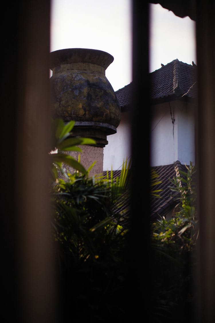 Vase And Plants Behind Bars