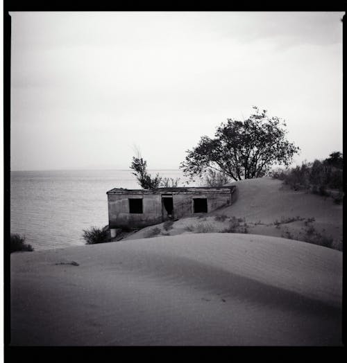 Fotobanka s bezplatnými fotkami na tému breh, čierny a biely, dom