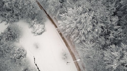 무료 겨울, 눈이 내리는, 눈이 덮여의 무료 스톡 사진